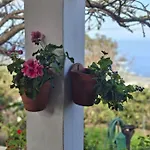 Hinojales