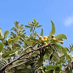 בית נופש Hinojales לוס סילוס